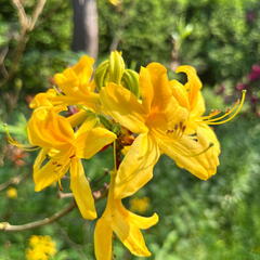 23-06-03 16-52-18 5805